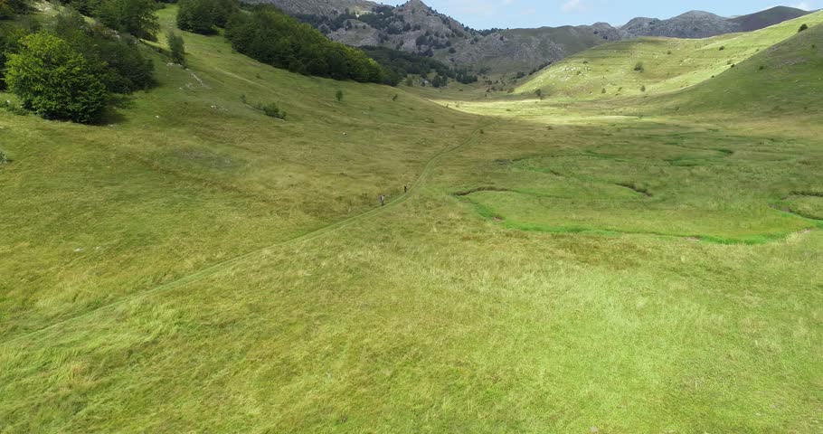 Flight top down above green field river aerial. Planet earth lungs unique natural landscape. Spring meditation scenery. Beautiful epic abstract surface. Ecosystem reserve. Summer 