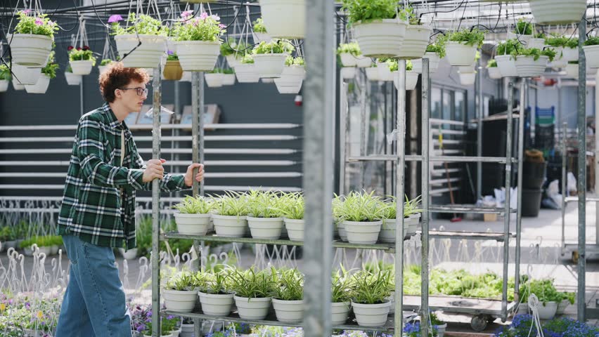 Rolls a shelf with potted plants. Young man with curly hair and in glasses is in greenhouse.