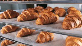 Freshly baked croissants. Delicious pastries. Delicious croissants only from the oven. Close-up - Powered by Shutterstock - Get 15% off with code: PIKWIZARD15