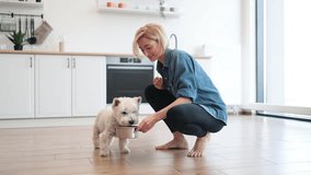 Caring young woman in denim shirt and yoga pants putting dog bowl with breakfast for white furry pet on room floor. Affectionate female owner providing best care for little animal in home interior. - Powered by Shutterstock - Get 15% off with code: PIKWIZARD15