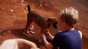 A video showing the back view of a boy petting a dog outdoors during daytime in Thailand