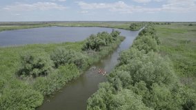 Kayaking together, tourist group paddling on small fresh water canal in Danube Delta Romania. Exploring wildlife from kayak Aerial drone shot 4k video