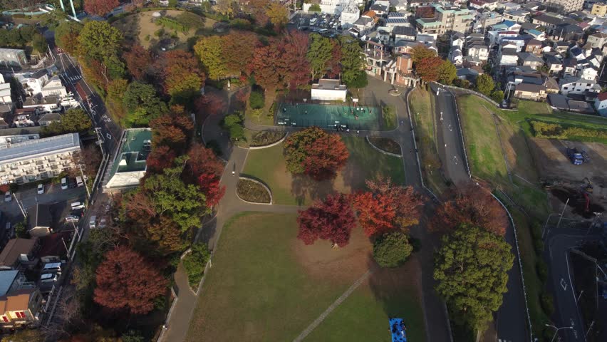 The best view in Yokohama