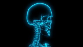 3D Holographic X-Ray Rotating View of Human Head Skull with Neck Vertebrae and Eye Sockets - Medical Animation - Powered by Shutterstock - Get 15% off with code: PIKWIZARD15