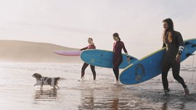 Young friends carrying surfboards walking talking on ocean beach. Active surfer sports women and man friends or family getting ready to practice in the sea, catch a wave on a high tide.

 - Powered by Shutterstock - Get 15% off with code: PIKWIZARD15