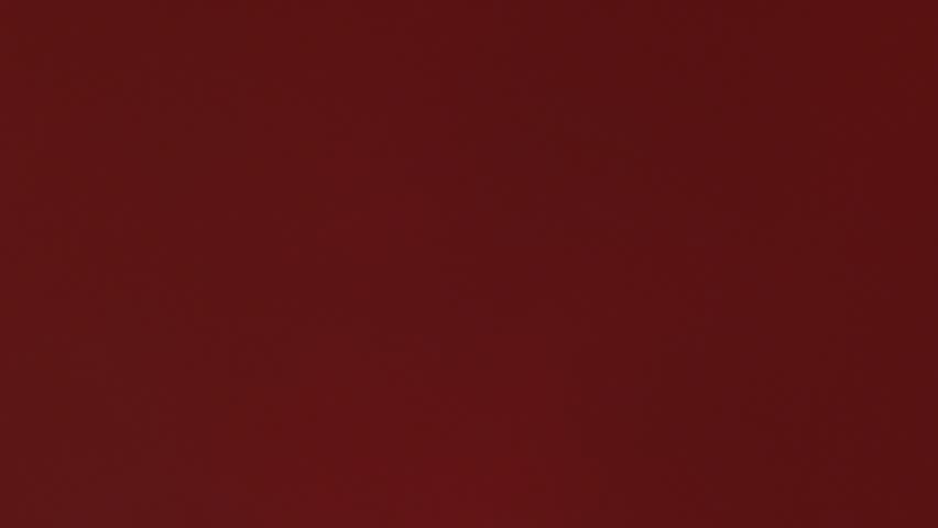 Shrimp with water splash in slow motion