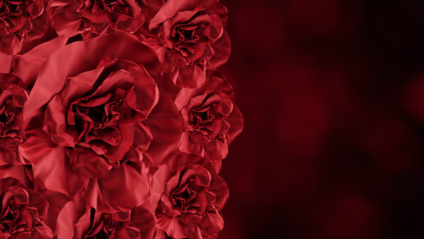 Blooming Red Flowers on Soft Bokeh Background