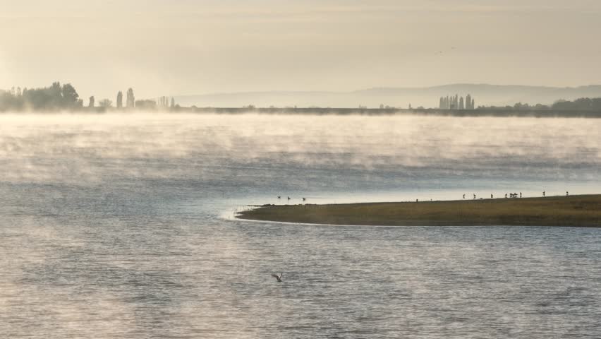 Fog on a lake. Aerial drone view over sunset lake. Peaceful reflection of the beautiful sunset lake. Landscape during the evening, greenery