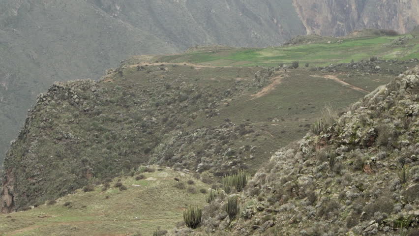 mirador cruz del condor at the colca canyon in Peru, a popular travel destination for tourists.