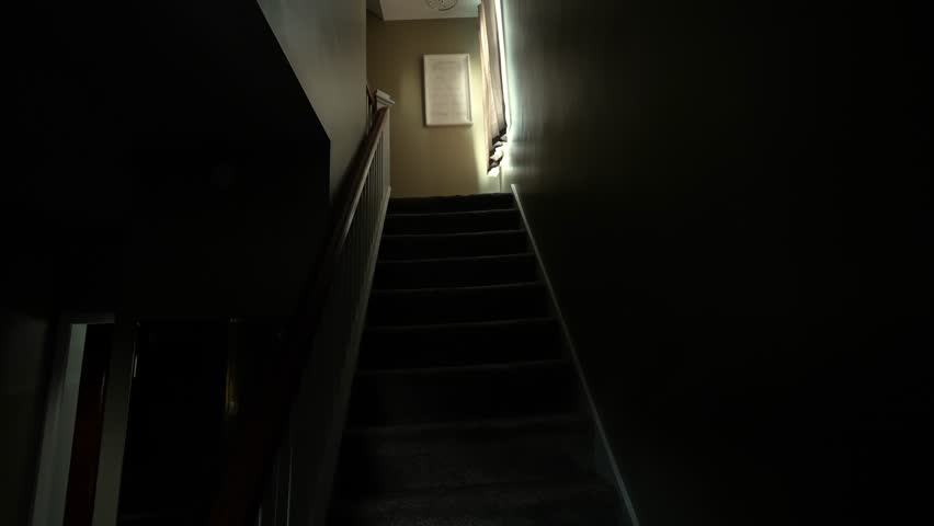 A buglar's perspective searching inside a darkened house at night while no one is home.  	 Royalty-Free Stock Footage #1104790013