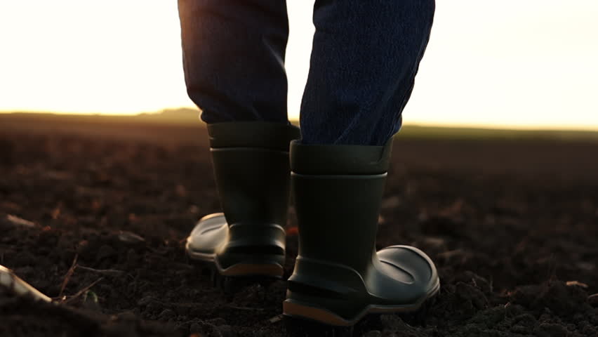 Agriculture. Cropped shot of back view businessman farmer in rubber boots walks along plowed field with digital tablet. Agronomist checking and analyses fertile soil on sunrise. Agribusiness Royalty-Free Stock Footage #1104811613