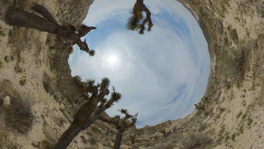 Joshua Tree Tiny Planet in Mojave Desert California USA