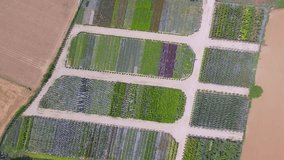 Drone view of fields full of colorful plants