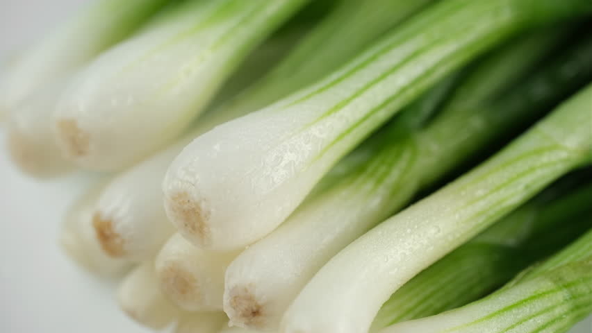 Bunch of green onion, close-up. Slider shot