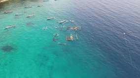 Whale sharks with boats in the ocean filming from a drone oslob philippines
