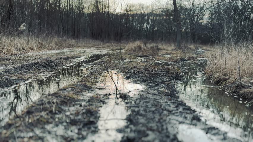 off-road. muddy way in the forest early spring just melted the snow. road dirt water puddles off-road in the forest. xtreme path forest no road water lifestyle mud puddles