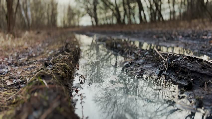 off-road. muddy way in the forest early spring just melted the snow. road dirt water puddles off-road in the forest. xtreme path forest no road water mud puddles lifestyle