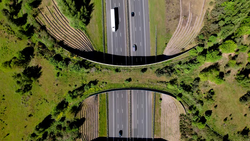 Top down steady aerial view of cars and transit traversed by wildlife crossing ecoduct bridge for animals to migrate between conservancy areas. Environment nature reserve infrastructure eco passage.