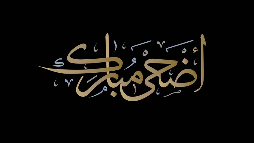 Animated Arabic Calligraphy in Handwriting "EID ADHA MUBARAK",  with ALPHA Channel | Shutterstock HD Video #1104853511