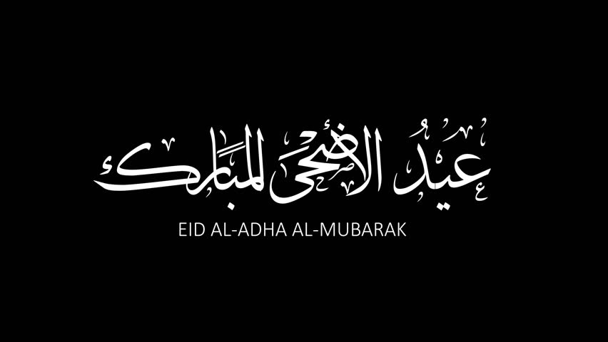 Animated Arabic Calligraphy in Handwriting "EID ADHA MUBARAK",  with ALPHA Channel | Shutterstock HD Video #1104853525
