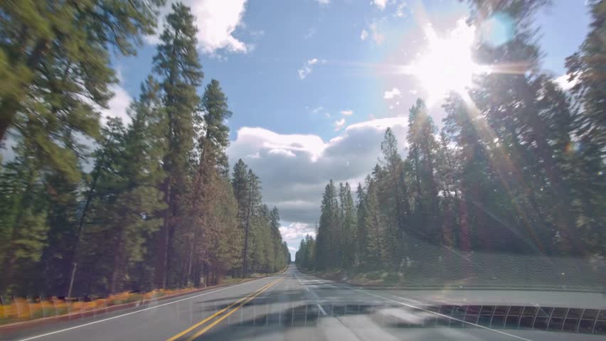Scenic 4K Drive: Serene Road Trip through Majestic Autumn Forest Trees Royalty-Free Stock Footage #1104857197