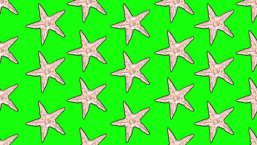 Animated Hand Drawn Starfish Seamless Pattern Moving on Green Screen Background Texture Design of sea stars. Summer Holiday Concept Sea Life Concept Repeatable Pattern. 4K Sea Animals Pattern Design.