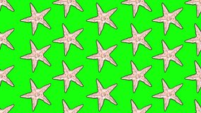 Animated Hand Drawn Starfish Seamless Pattern Moving on Green Screen Background Texture Design of sea stars. Summer Holiday Concept Sea Life Concept Repeatable Pattern. 4K Sea Animals Pattern Design.
