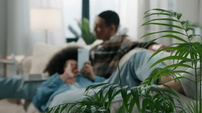 View through house plant African American happy family couple relaxing on couch man working playing game with laptop woman wife lying on knee on husband scrolling mobile phone social media home sofa - Powered by Shutterstock - Get 15% off with code: PIKWIZARD15