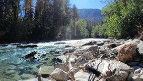 slow motion mountain ridge forest river with clear water at sunny summertime - loop video