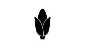 Black Corn icon isolated on white background. 4K Video motion graphic animation.