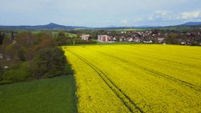 bright yellow rape field in Czech Republic Gorgeous aerial top view flight drone