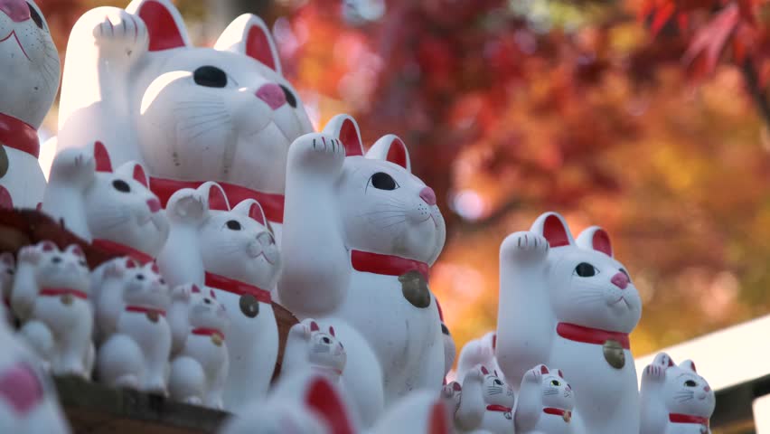 Ancient asian adventure. exploring knickknacks and statues in tokyo's gotokuji temple. tokyo's gotokuji temple and its maneki-neko statues
