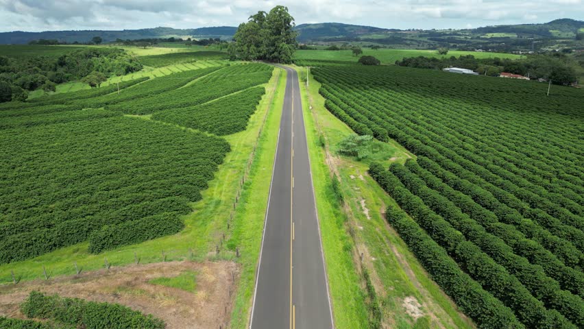 Country Road At Country Scene Rural Landscape Countryside. Forest Landscape Footage. Countryside Horizon Rural Field. Countryside Outdoors Rural Sky Panorama. Countryside Field Agriculture Farming.