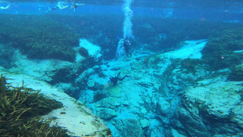 Crowds dive and swim at Alexander Springs, Ocala national forest