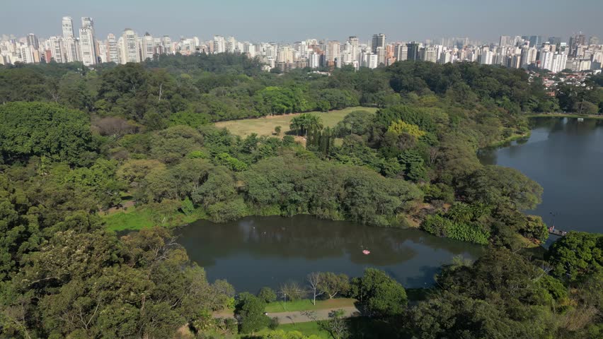 Aerial view of Sao Paulo city, next to Ibirapuera Park. Prevervetion area with trees and green area of Ibirapuera park in Sao Paulo city, Brazil.