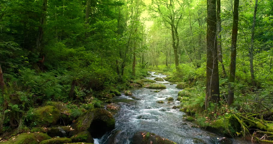Waterfall with forest stream and green moss. Royalty-Free Stock Footage #1104886851