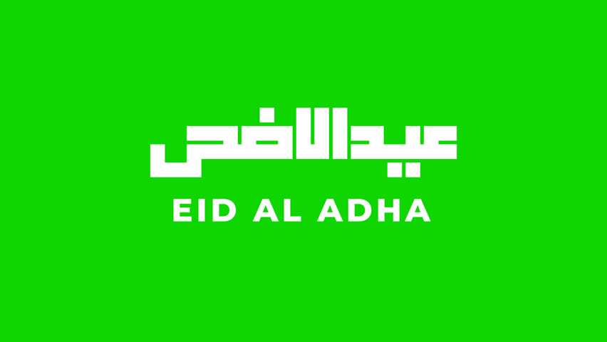 Eid Al Adha Animation Text in White Color. Green screen and Alpha Channel. Great to use as a card for the celebration of Eid Adha in Muslim community. Animated Idul Adha. 4K Footage Islamic video.  | Shutterstock HD Video #1104908941