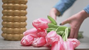 Woman selecting and putting pink tulip flowers to vase. Florist, spring mood.