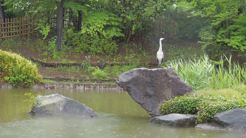 Tokyo Sarue Onshi Park Typhoon heavy rain June 2023