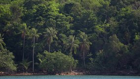 A daytime video of an island with tall coconut palm trees near the coastline in Thailand