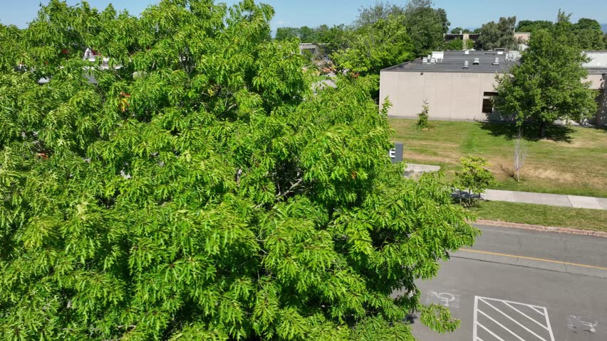 Aerial view of the South Seattle College sign at the campus entrance.