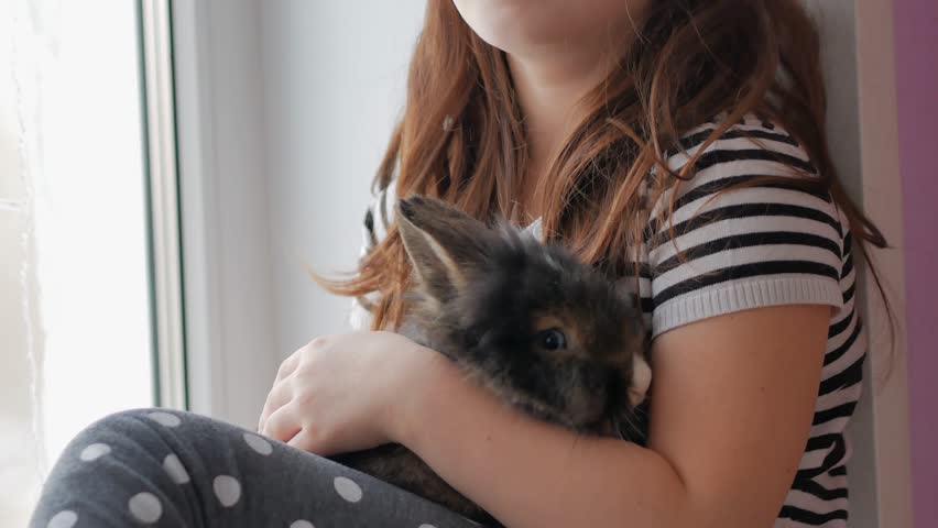 A little happy girl sitting on the windowsill touchingly hugs and strokes a brown rabbit, the love of children for pets.