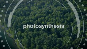 Association with the process of photosynthesis expressed by aerial view of a forest with bubbles emitted by the trees - Powered by Shutterstock - Get 15% off with code: PIKWIZARD15