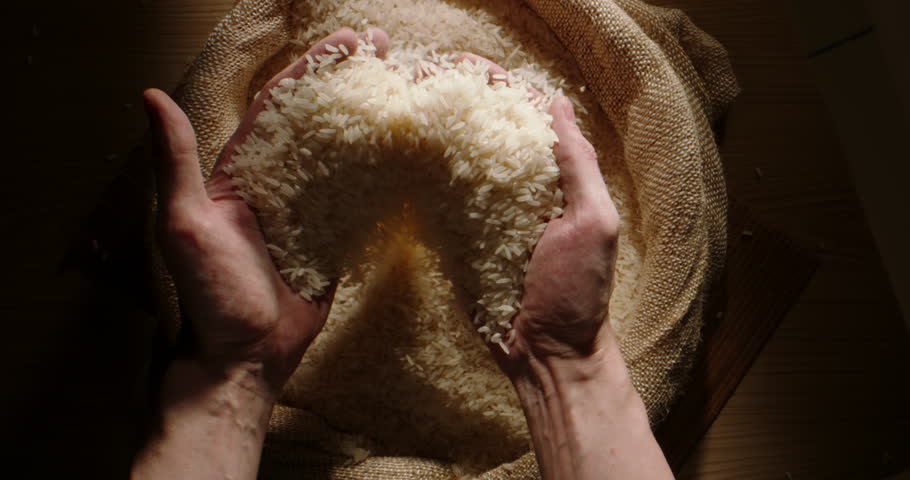 The farmer takes rice from burlap and poured back slow motion Indian traditional cuisine uncooked. Concept environmentally friendly farming board rustic slow top view wood rice grains cultivation food
