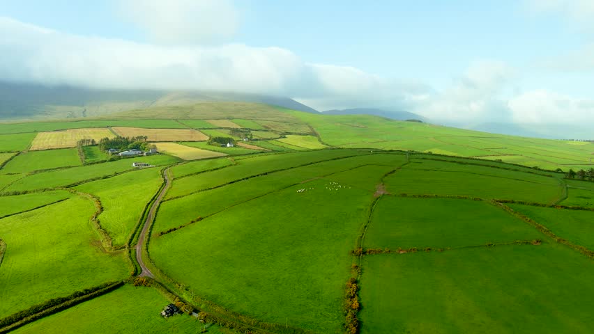 Aerial view of endless lush pastures and farmlands of Ireland's Dingle Peninsula. Beautiful Irish countryside with emerald green fields and meadows. Rural landscape on sunset.
