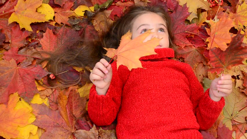 cute girl lying on yellow and red leaves at park, view from above. Top view of cheerful girl lying on autumn park leaves, looking at camera. a girl in a red warm sweater happy autumn, plays  leaves