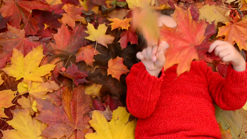 cute girl lying on yellow and red leaves at park, view from above. Top view of cheerful girl lying on autumn park leaves, looking at camera. a girl in a red warm sweater happy autumn, plays  leaves
