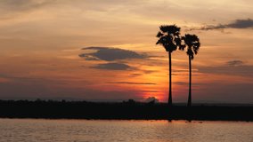 Beautiful, silhouette of palm tree at sunset in the lake, 4k footage