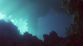 Vertical video, Camera moves forward into coral caves on sunny day in bright sunlight, Slow motion, Backlighting (Contre-jour)