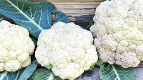 Video of freshly picked cauliflower on wooden background in kitchen garden. Rustic still life. Healthy organic food. Top view, close-up